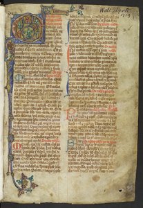 Manuscrit médical illuminé - Walter Harte